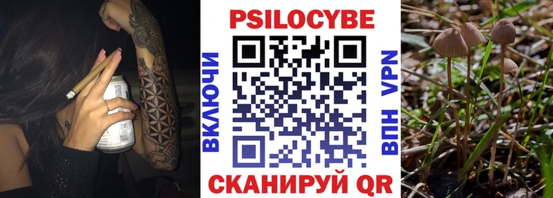 Псилоцибиновые грибы MAGIC MUSHROOMS  цена   Советская Гавань 
