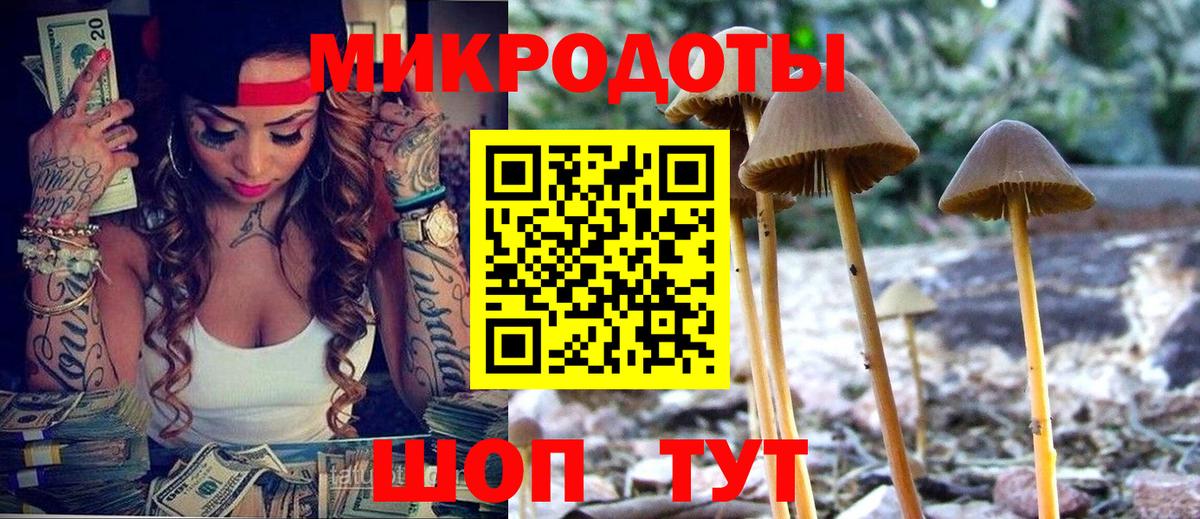 где можно купить   Вход с VPN  Советская Гавань  Галлюциногенные грибы мухоморы 
